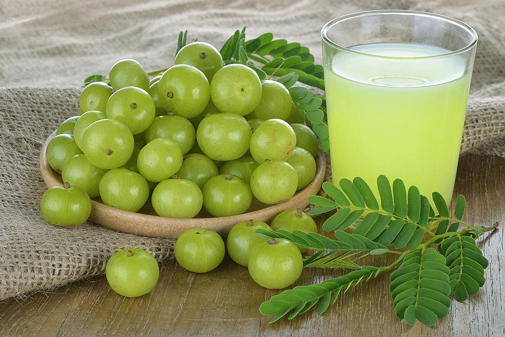 Amla: The Wonder Berry for Holistic Health